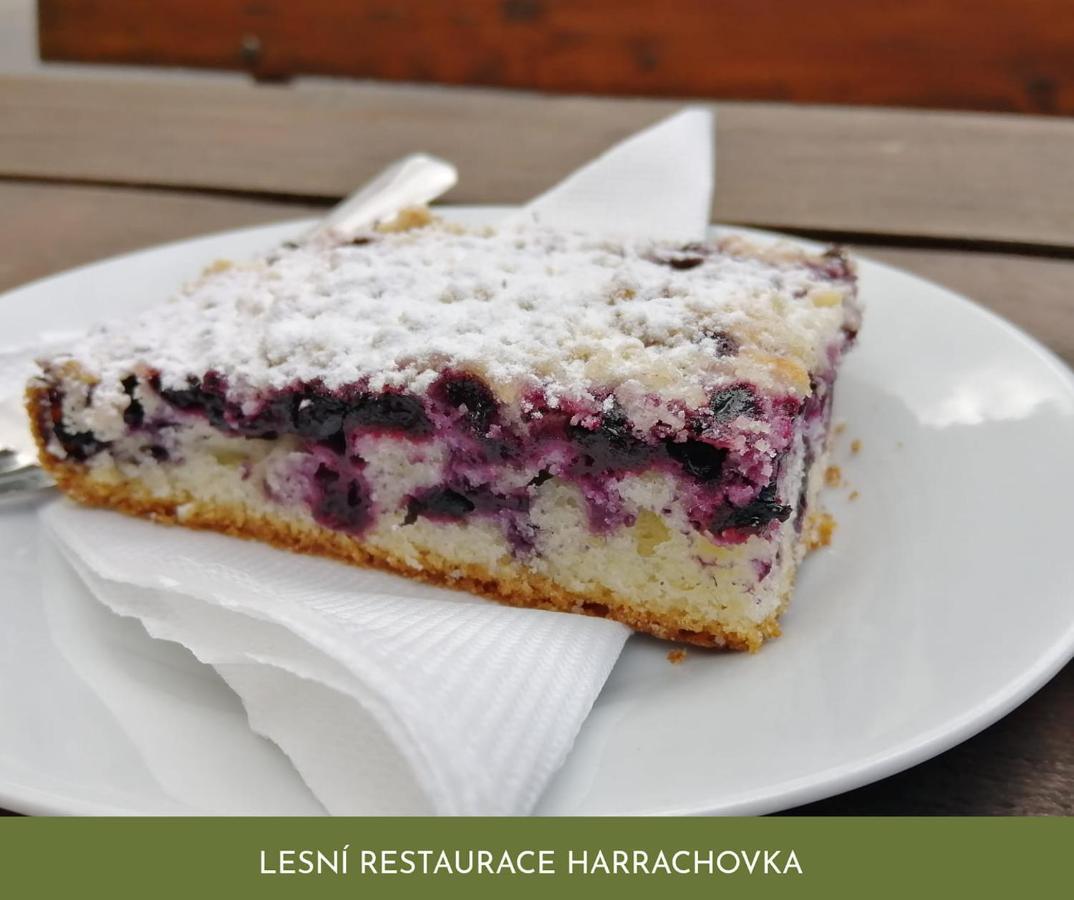 Lesni Restaurace Harrachovka Hotel Tabor Ngoại thất bức ảnh